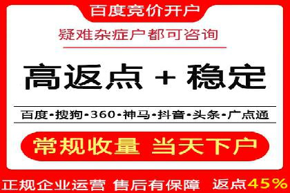 深度解析百度推广代运营公司的成功策略与技巧